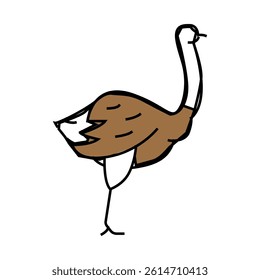 ostrich bird line icon vector. ostrich bird sign. isolated symbol illustration