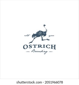 Ostrich Bird Logo Design Vector Image