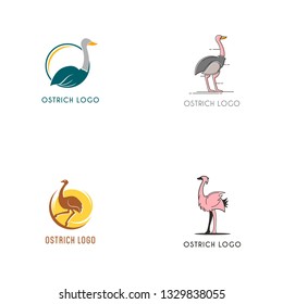 Ostrich Bird Logo Template
