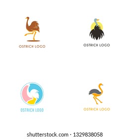 Ostrich Bird Logo Template