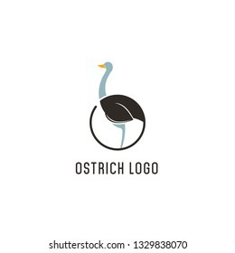 Ostrich Bird Logo Template