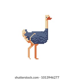 Ostrich. Bird of savannah. Flat design. African fauna illustration. Pixel art icon. Wild life for children's books illustration. Ostrich farm logo. 8-bit sprite. Isolated vector illustration. 