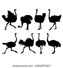 Ostrich bird silhouette set stencil templates for designs svg