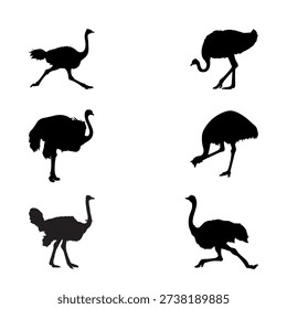 Ostrich Bird Silhouette Vector Set, African Wildlife Running and Grazing Illustration Collection