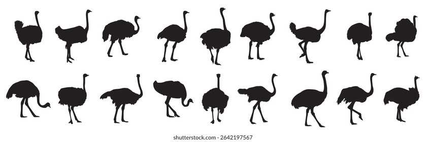ostrich bird silhouettes set vector