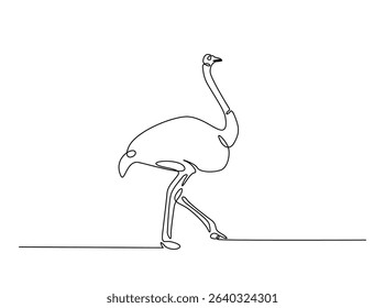 Ostrich bird single outline illustration. Continuous line art drawing of african ostrich. Editable stroke.