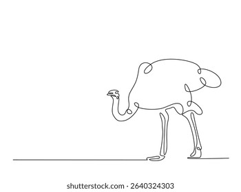Ostrich bird single outline illustration. Continuous line art drawing of african ostrich. Editable stroke.