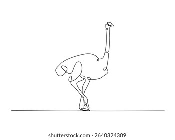 Ostrich bird single outline illustration. Continuous line art drawing of african ostrich. Editable stroke.