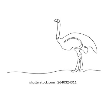 Ostrich bird single outline illustration. Continuous line art drawing of african ostrich. Editable stroke.
