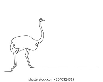 Ostrich bird single outline illustration. Continuous line art drawing of african ostrich. Editable stroke.