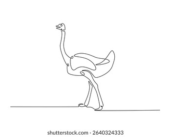 Ostrich bird single outline illustration. Continuous line art drawing of african ostrich. Editable stroke.
