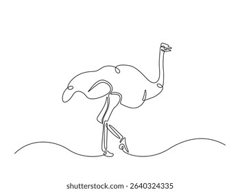 Ostrich bird single outline illustration. Continuous line art drawing of african ostrich. Editable stroke.
