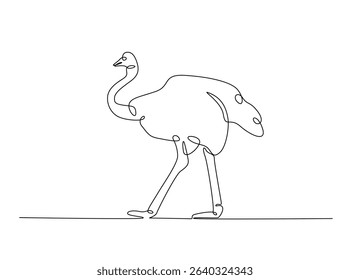Ostrich bird single outline illustration. Continuous line art drawing of african ostrich. Editable stroke.