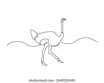 Ostrich bird single outline illustration. Continuous line art drawing of african ostrich. Editable stroke.