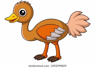 An Ostrich bird vector illustration