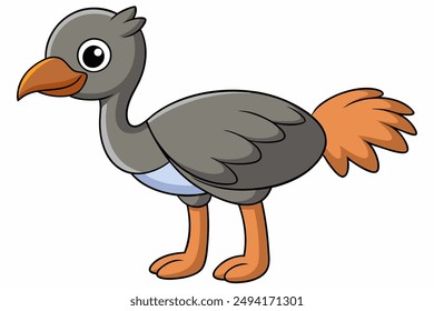 An Ostrich bird vector illustration