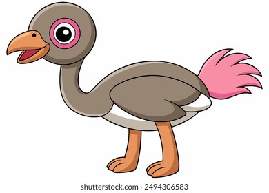 An Ostrich bird vector illustration