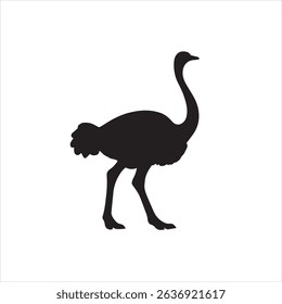 Ostrich Black Beautiful Bird Image 