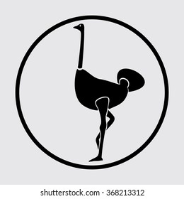 Ostrich black simple icon on white background. Vector