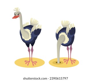 Ostrich buried his head in sand. Jungle or zoo bird in horror and despair, wildlife animal. African savannah character. Cartoon flat isolated illustration on white background. Vector concept