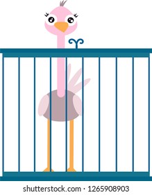 Ostrich in a cage