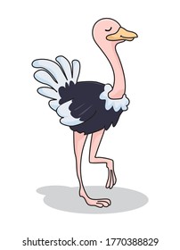 Ostrich Cartoon Cute Animals Illustration