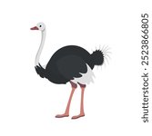 Ostrich cartoon illustration. Vector ostrich isolated on white background Flat design element	