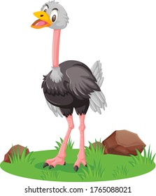 Ostrich cartoon vector art and illustration