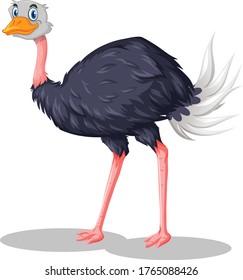 Ostrich cartoon vector art and illustration