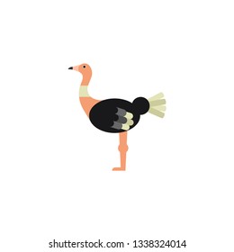 ostrich cartoon vector on a white background