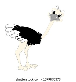 Ostrich cartoons flat design cartoons object isolated cute bird design element illustration for web, for print, for sticker