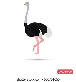 Ostrich color flat icon for web and mobile design