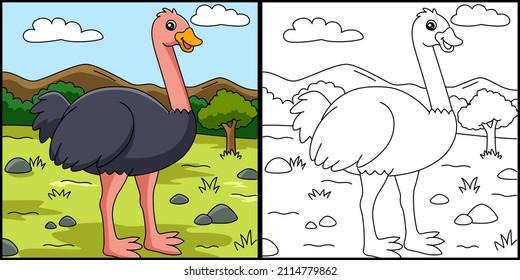 Ostrich Coloring Page Vector Illustration