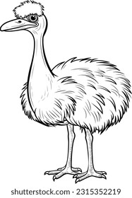 Ostrich, colouring book for kids, vector illustration
