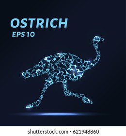 The ostrich consists of points, lines and triangles. The polygon shape in the form of a silhouette of an ostrich on a dark background Vector illustration