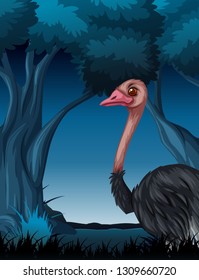 An ostrich in dark forest illustration