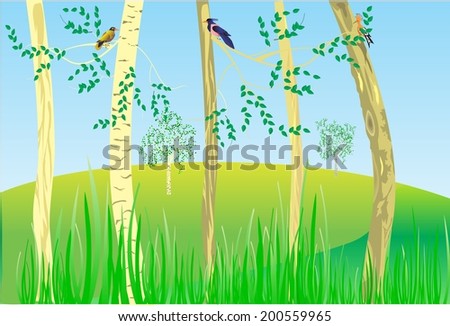 Ostrich in desert
