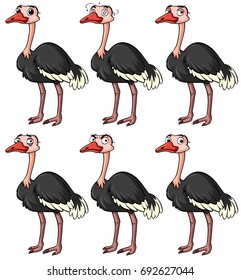 Ostrich with different facial expressions illustration