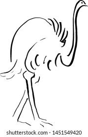 Ostrich drawing handmade with brush and Chinese ink. Vector. 