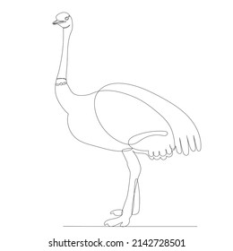 Ostrich Drawing In One Continuous Line, Isolated Vector