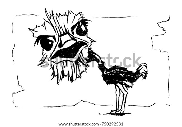 Ostrich Drawing Vector Illustration Black Color Stock Vector (Royalty ...