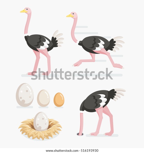 Ostrich and ostrich eggs on the nests. Vector\
illustration flat\
design.
