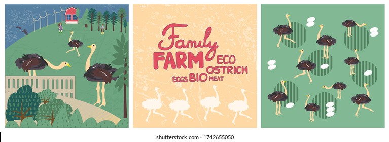 Ostrich and ostrich eggs. Set of family farm illustration and lettering. Rural landscape, farming, agricultural work. Design elements for a poster, banner or postcard. Flat vector cartoon style
