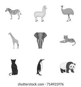 Ostrich emu, crocodile, giraffe, tiger, penguin and other wild animals. Artiodactyla, mammalian predators and animals set collection icons in monochrome style vector symbol stock illustration web.