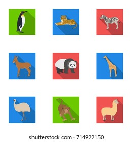 Ostrich emu, crocodile, giraffe, tiger, penguin and other wild animals. Artiodactyla, mammalian predators and animals set collection icons in flat style vector symbol stock illustration web.