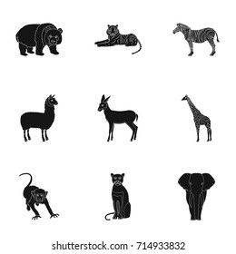 Ostrich emu, crocodile, giraffe, tiger, penguin and other wild animals. Artiodactyla, mammalian predators and animals set collection icons in black style vector symbol stock illustration web.