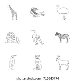 Ostrich emu, crocodile, giraffe, tiger, penguin and other wild animals. Artiodactyla, mammalian predators and animals set collection icons in outline style vector symbol stock illustration web.