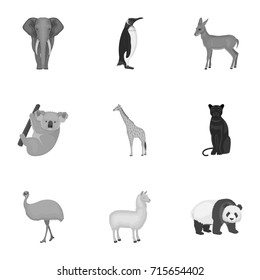 Ostrich emu, crocodile, giraffe, tiger, penguin and other wild animals. Artiodactyla, mammalian predators and animals set collection icons in monochrome style vector symbol stock illustration web.