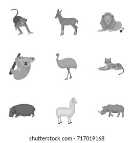 Ostrich emu, crocodile, giraffe, tiger, penguin and other wild animals. Artiodactyla, mammalian predators and animals set collection icons in monochrome style vector symbol stock illustration web.