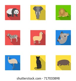 Ostrich emu, crocodile, giraffe, tiger, penguin and other wild animals. Artiodactyla, mammalian predators and animals set collection icons in flat style vector symbol stock illustration web.